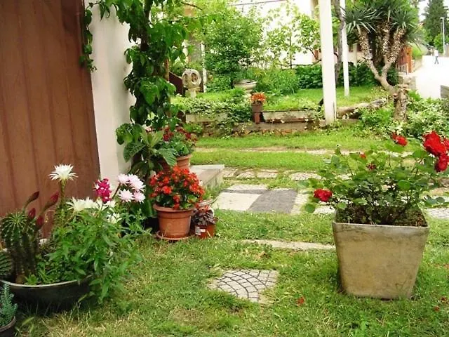 In With Terrace, Wifi Apartament *