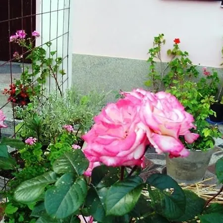 In With Terrace, Wifi 아파트 파코스탄