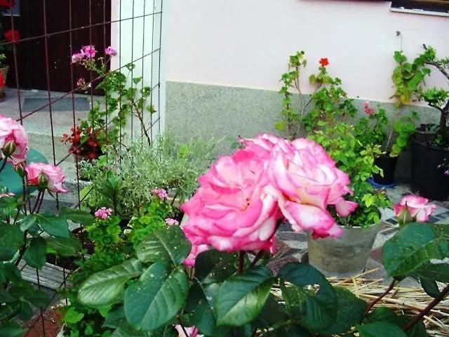 In With Terrace, Wifi Апартаменты Пакоштане